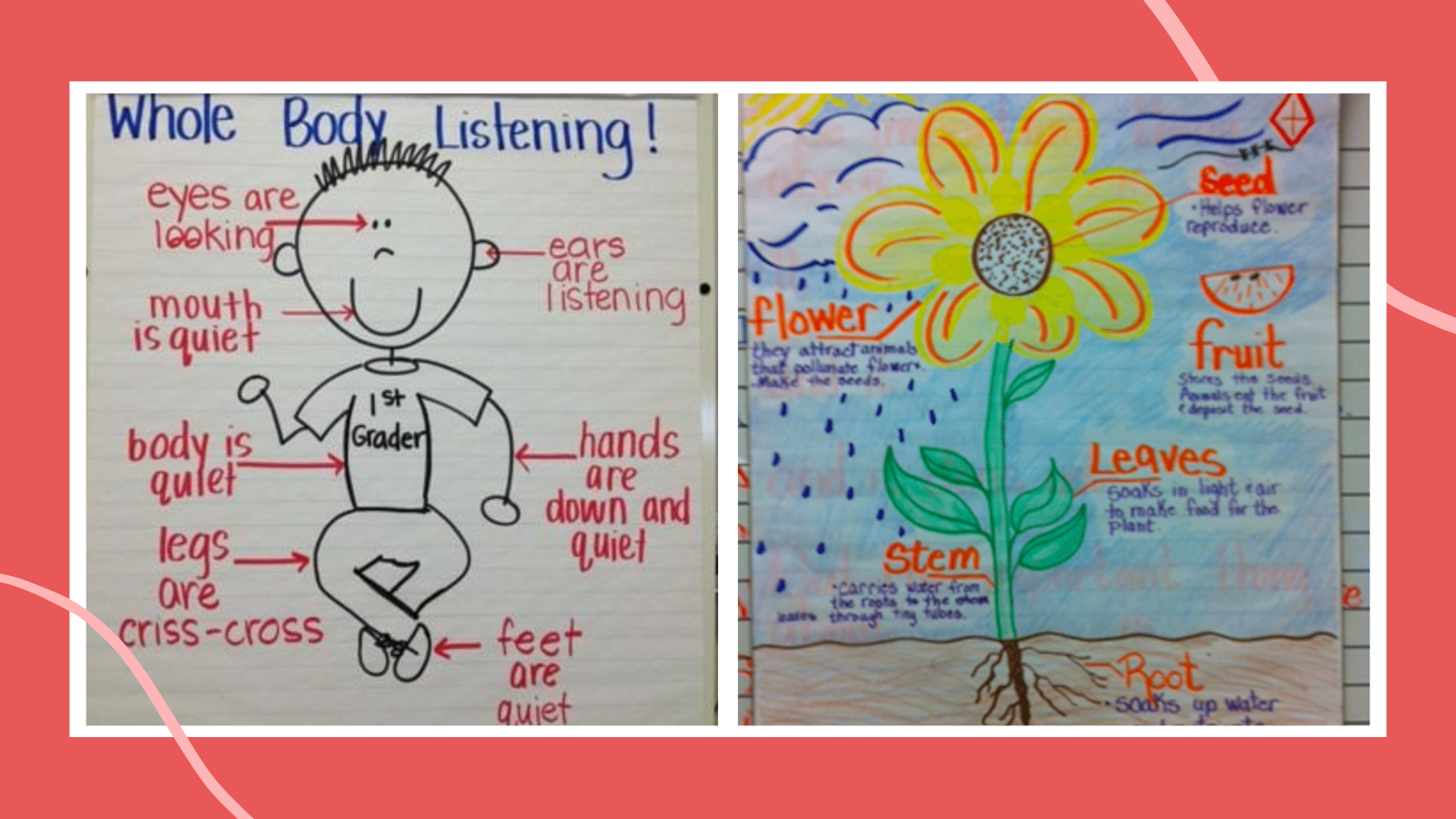 Anchor charts feature