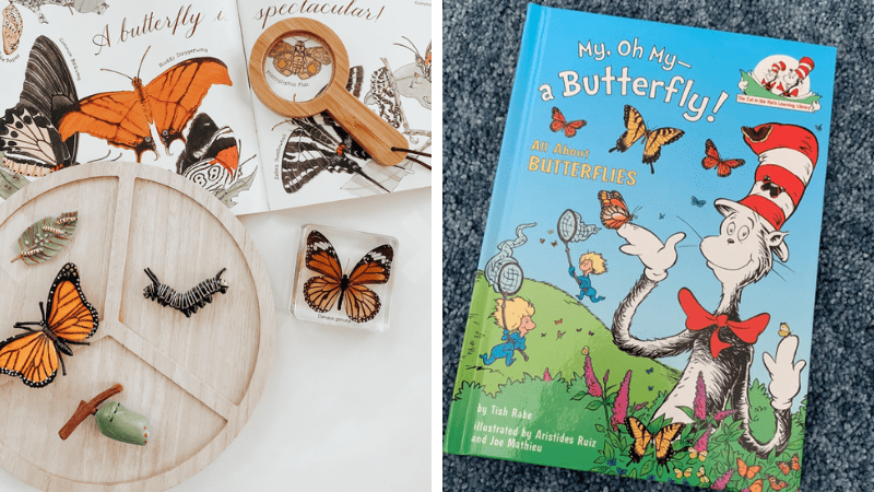 User-generated content of butterfly books