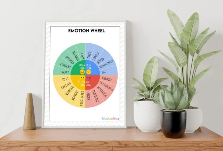 Color wheel used for identifying emotions perched on a shelf next to a trio of plants
